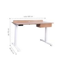 Meja Kerja Elektrik Adjustable 120 cm-7