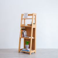 Cappu bookshelf-1