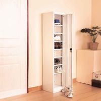 Lite Shoe cabinet -9 compartments with door-3