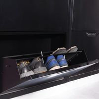 Shoe cabinet -2 swing doors-1