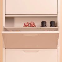 Shoe cabinet -3 swing doors-4